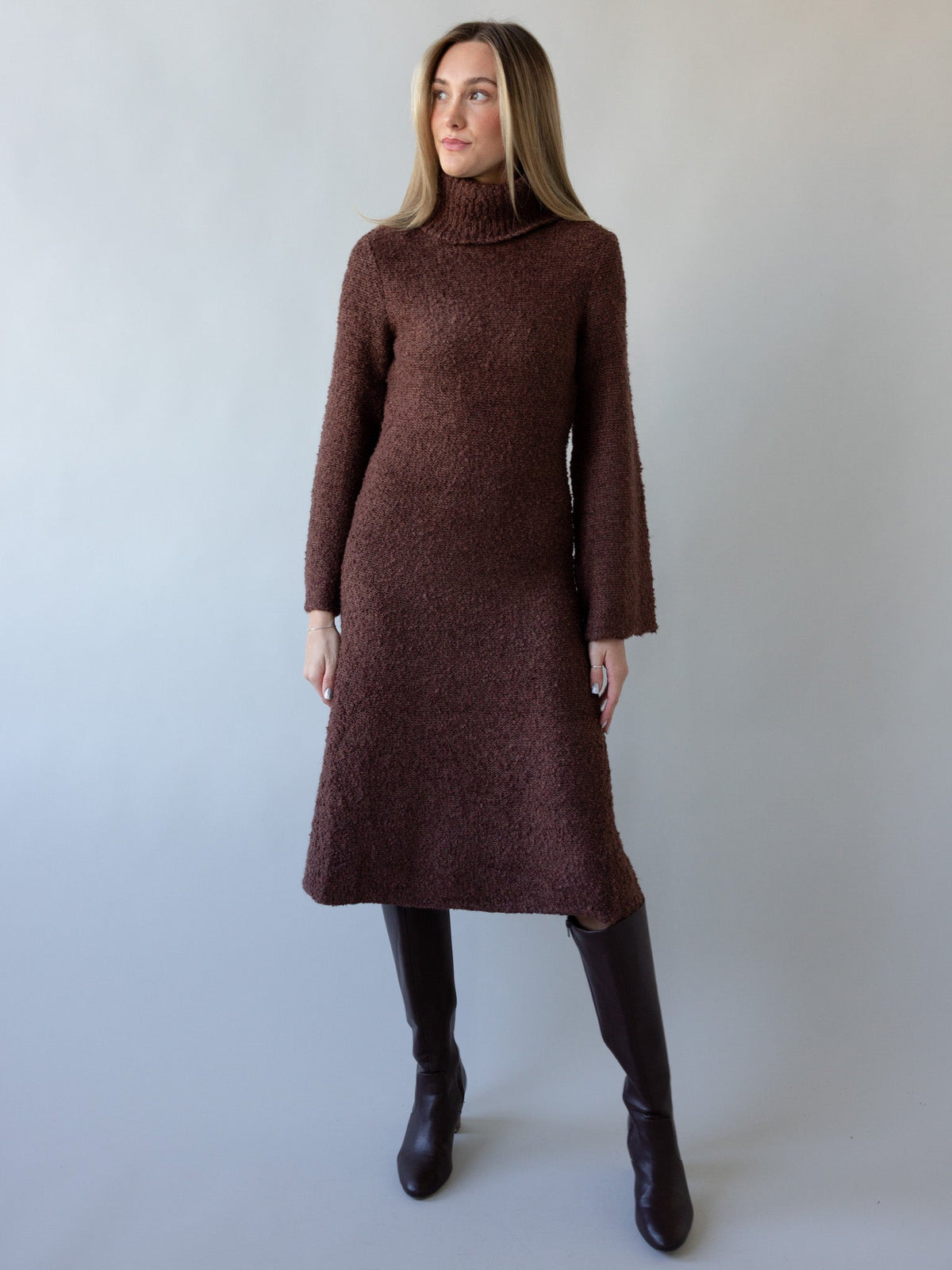 Turtleneck Bell Sleeve Sweater Dress