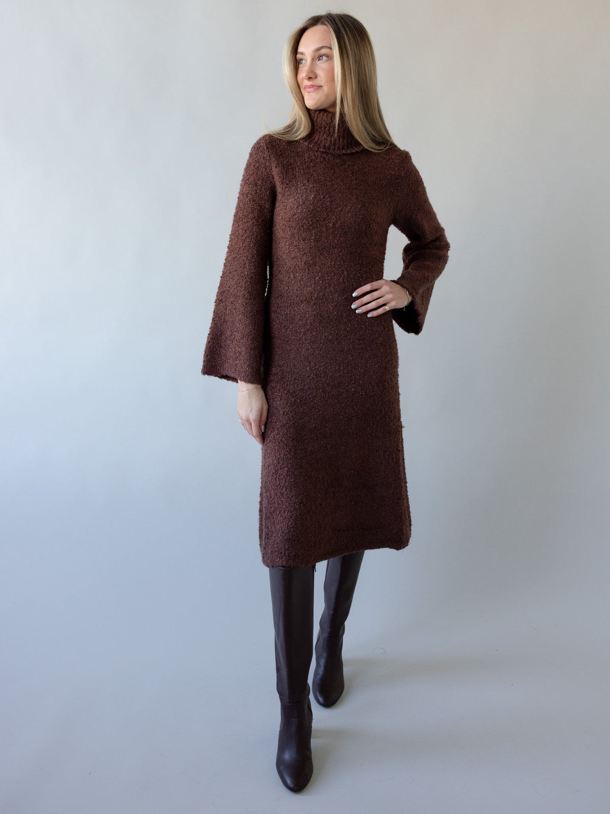 Turtleneck Bell Sleeve Sweater Dress