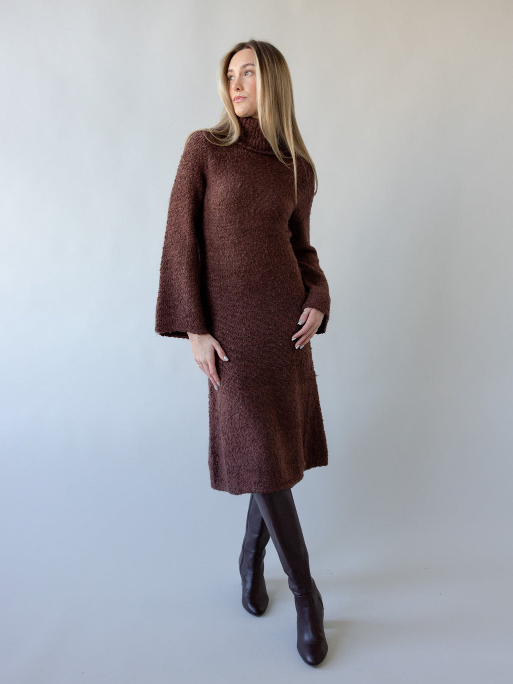 Turtleneck Bell Sleeve Sweater Dress